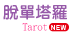 脫單塔羅